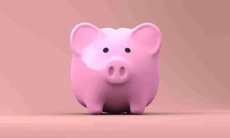 piggy-bank