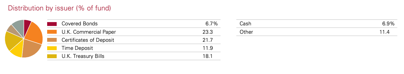 Vanguard UK money market fund holdings
